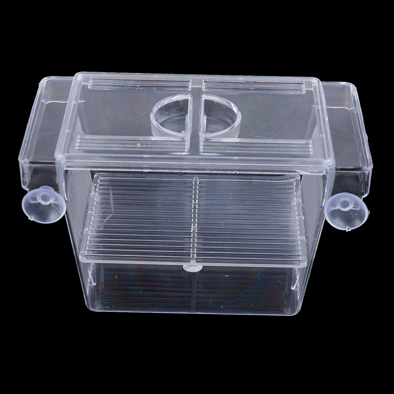 Aquarium Fish Escape - Akwarium Guppy Double Breeding Breeder Rearing