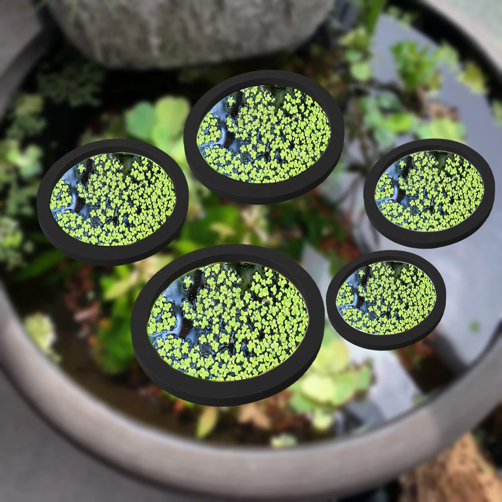 Aquarium Fish To Buy - 5Pcs EVA Pierścień do karmienia ryb