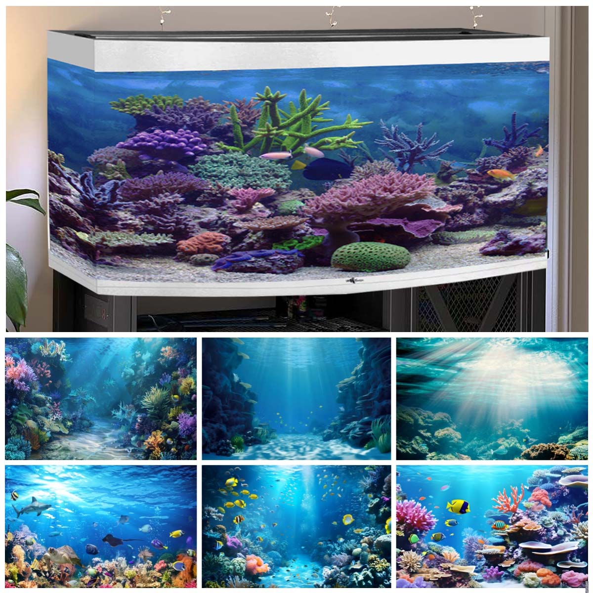 Aquarium Fish Of The World - Tła podwodne do zdjęć, ocean, ryby,