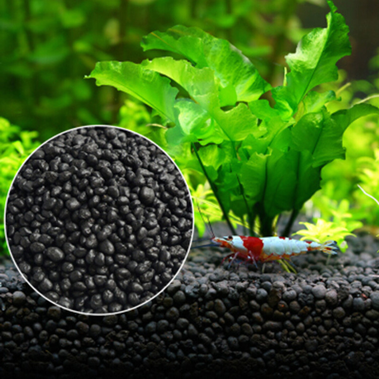 Aquarium Fish To Buy - Roślina akwariowa nasiona gleba akwarium podłoże