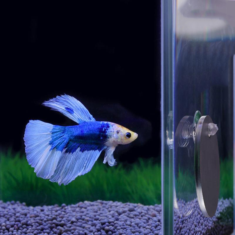 Aquarium Fish Escape - Akwarium Betta Lustrzany Akwarium Okrągłe Lusterko