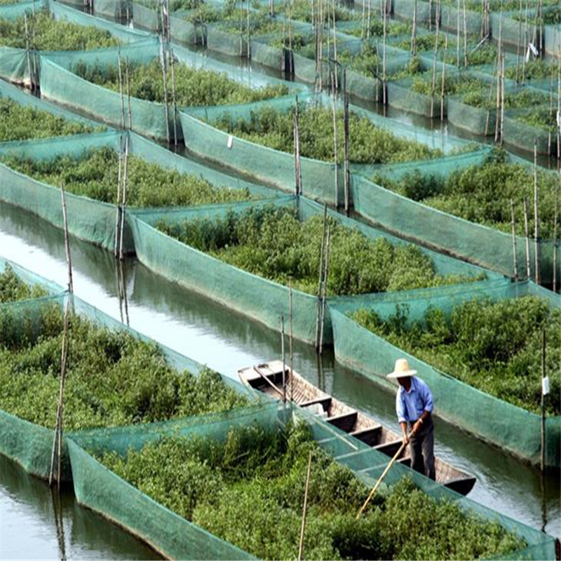 Biała siatka zabezpieczająca p – Aquarium Fish Escape recenzja i cena