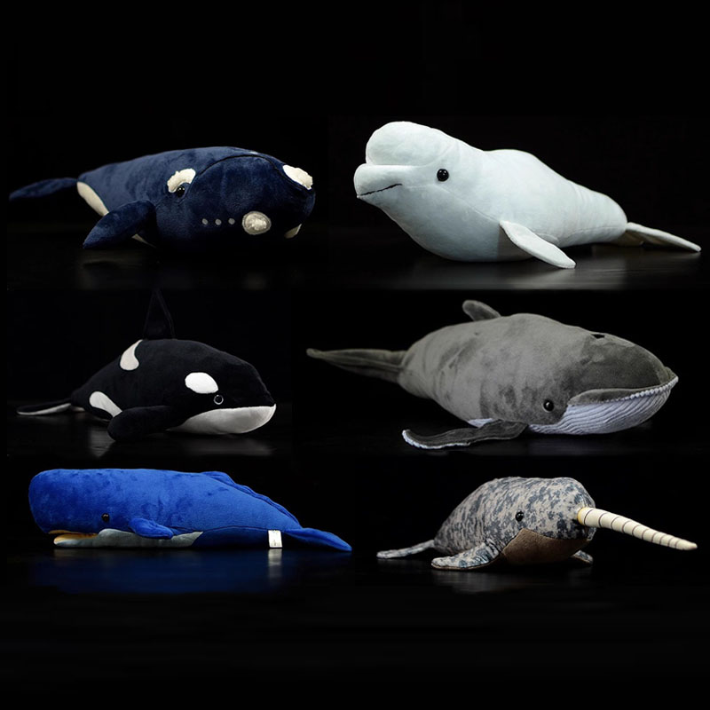 Symulowany Zwierzęcy Zabójca B – Wild Aquarium Fish recenzja i cena