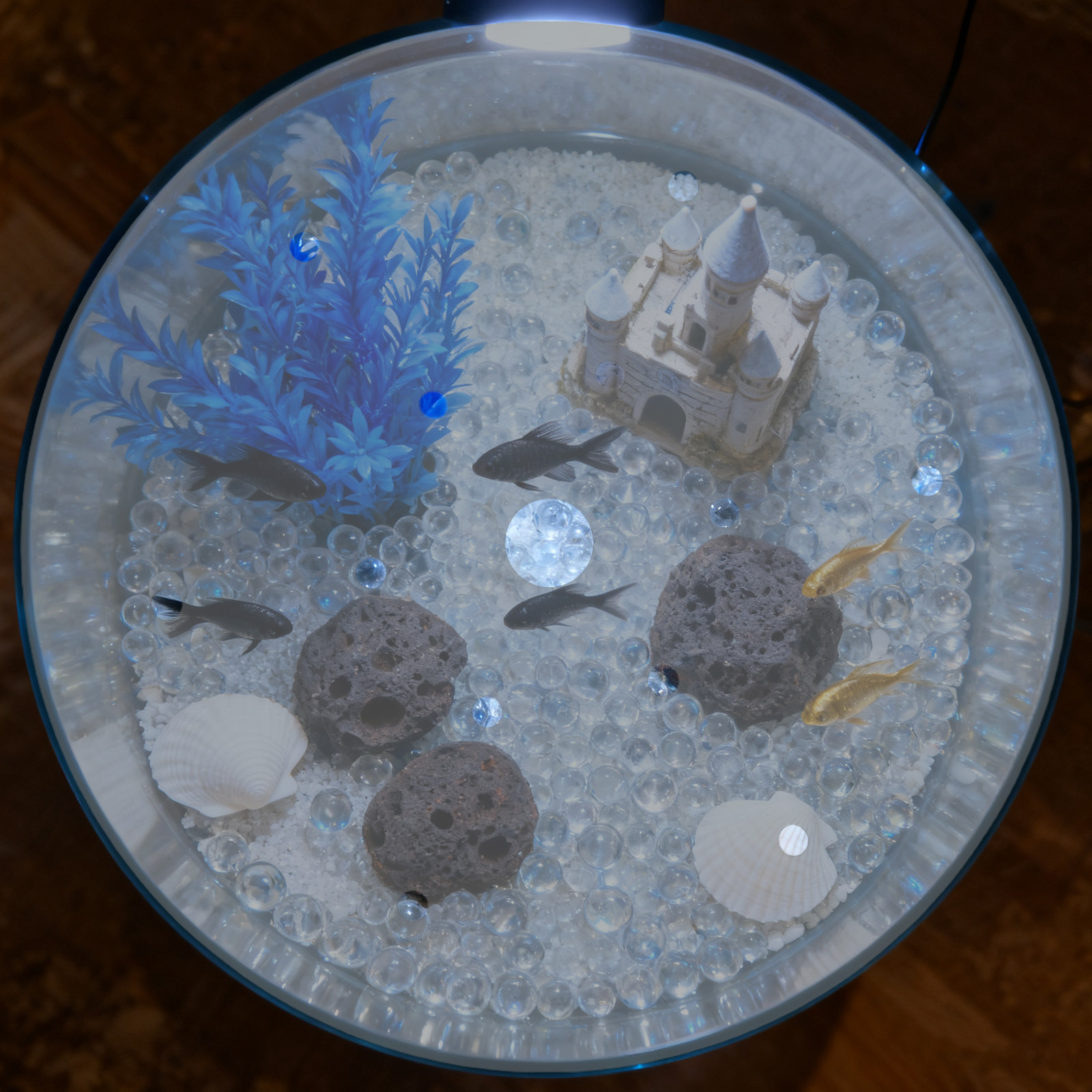 Akrylowa okrągła pokrywa do ak – Aquarium Fish Escape recenzja i cena