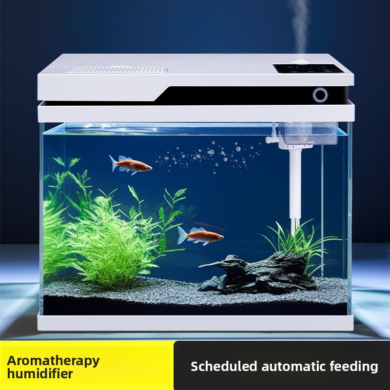Przezroczyste szklane akwarium – All Fish In Aquarium recenzja i cena