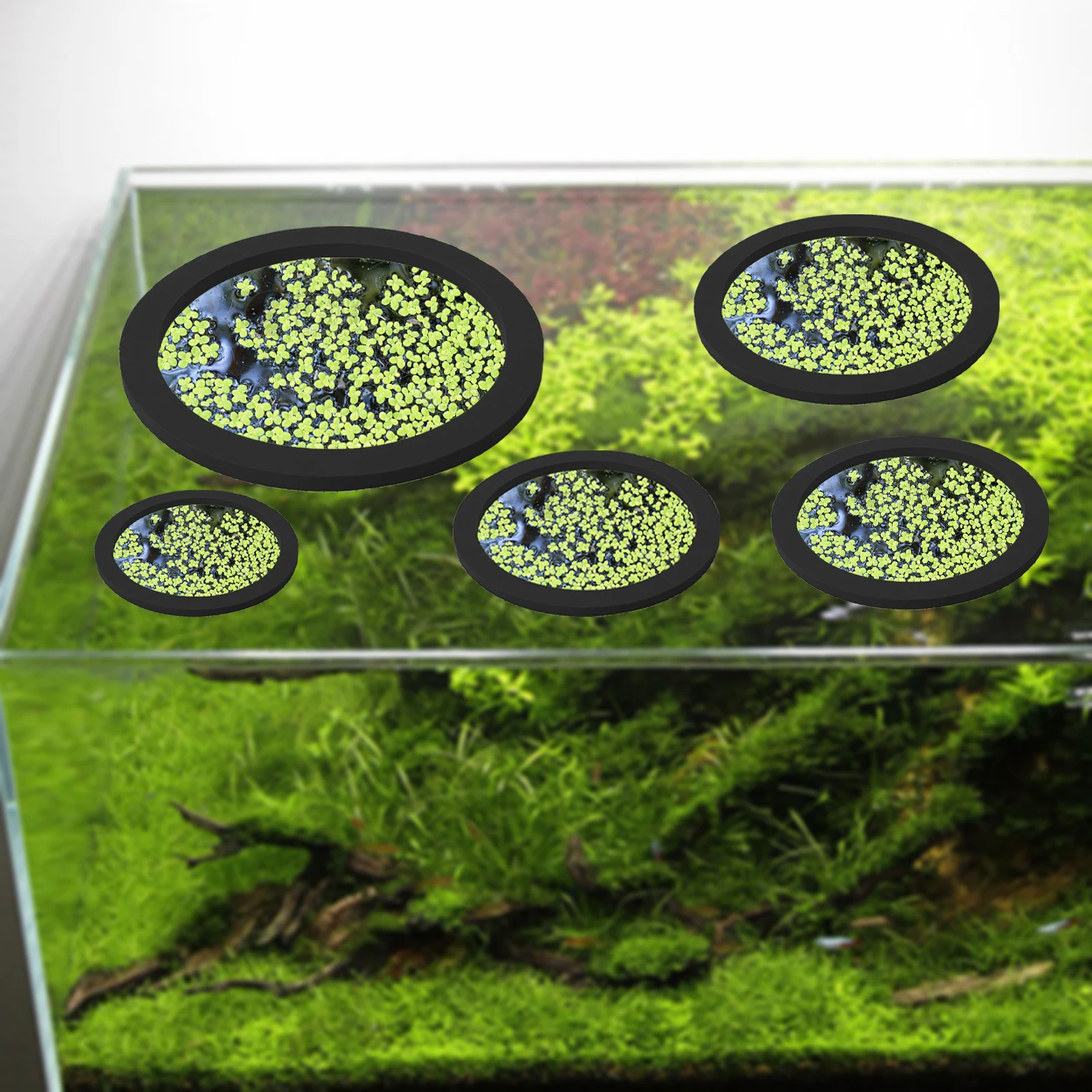 5Pcs EVA Pierścień do karmieni – Aquarium Fish To Buy recenzja i cena