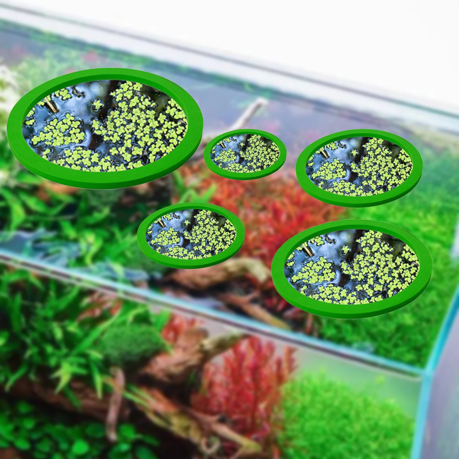 5Pcs EVA Pierścień do karmieni – Aquarium Fish To Buy recenzja i cena