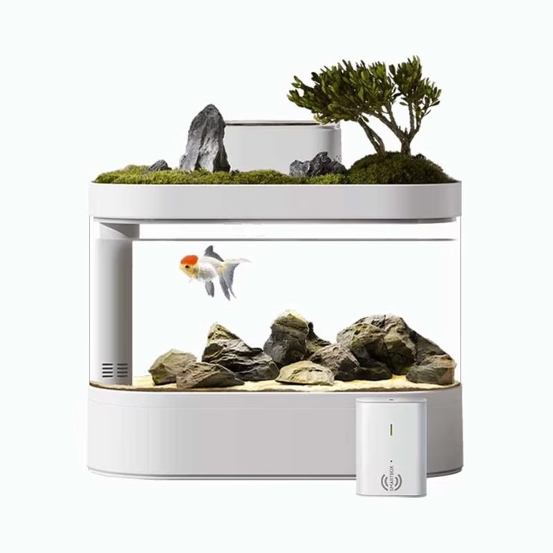 Inteligentny akwarium biurkowe – Aquarium Fish Feeder Automatic recenzja i cena
