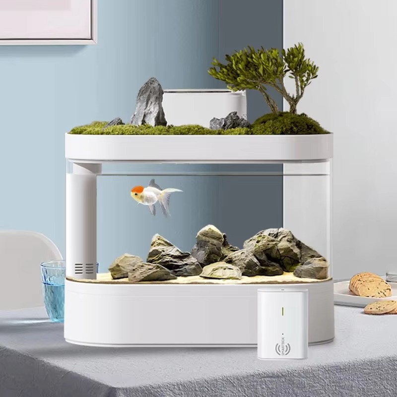 Inteligentny akwarium biurkowe – Aquarium Fish Feeder Automatic recenzja i cena