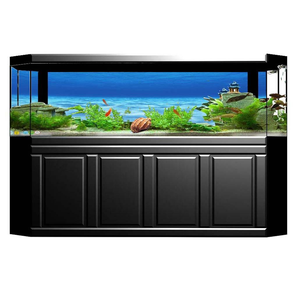Plakat dekoracyjny na ścianę a – Aquarium Fish Of The World recenzja i cena