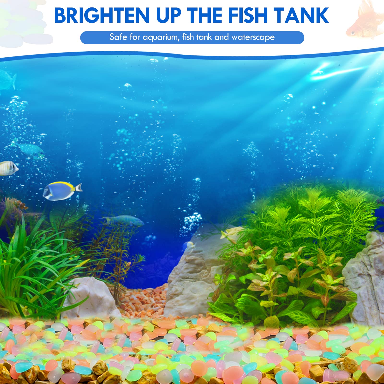 100 sztuk świecących w ciemnoś – Aquarium Fish Guppy recenzja i cena