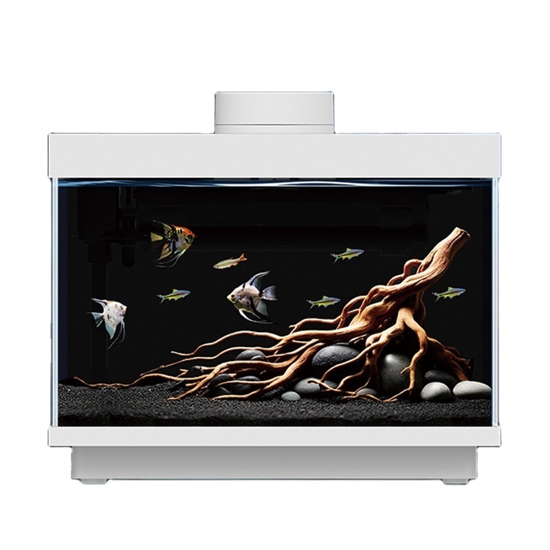 Wielofunkcyjny, uniwersalny ak – All Fish In Aquarium recenzja i cena