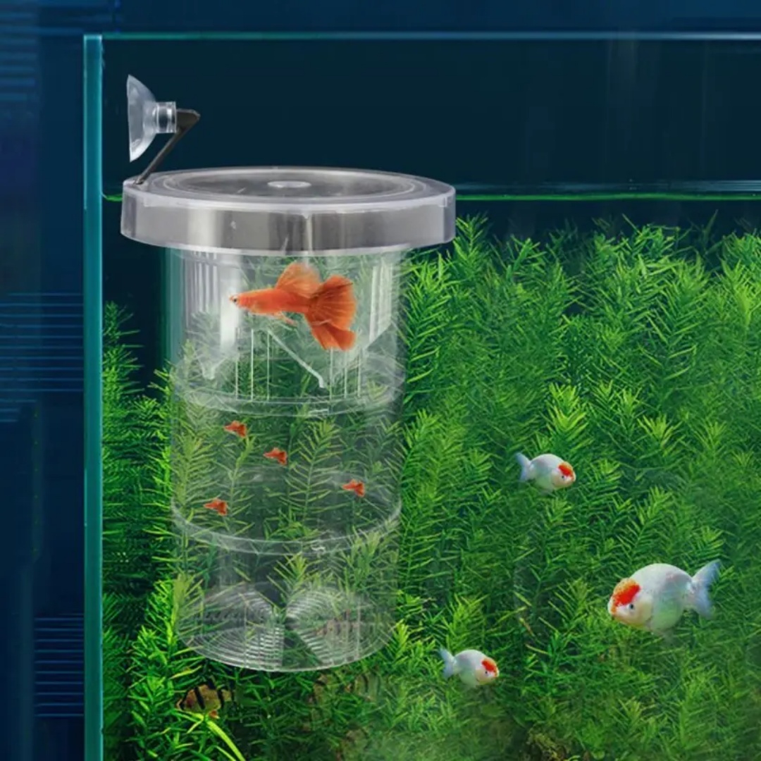 Akrylowe pudełko izolacyjne do – Aquarium Fish Escape recenzja i cena