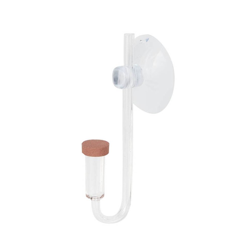 Akrylowy Mini Akwarium Rośliny – Aquarium Fish To Buy recenzja i cena