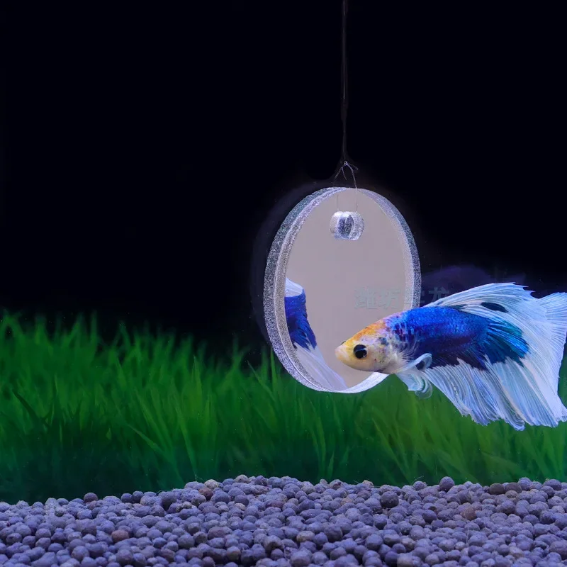 Akwarium Betta Lustrzany Akwar – Aquarium Fish Escape recenzja i cena