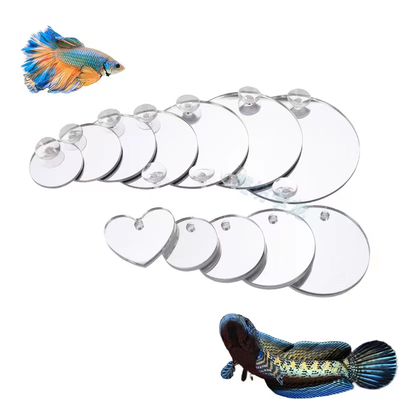 Akwarium Betta Lustrzany Akwar – Aquarium Fish Escape recenzja i cena