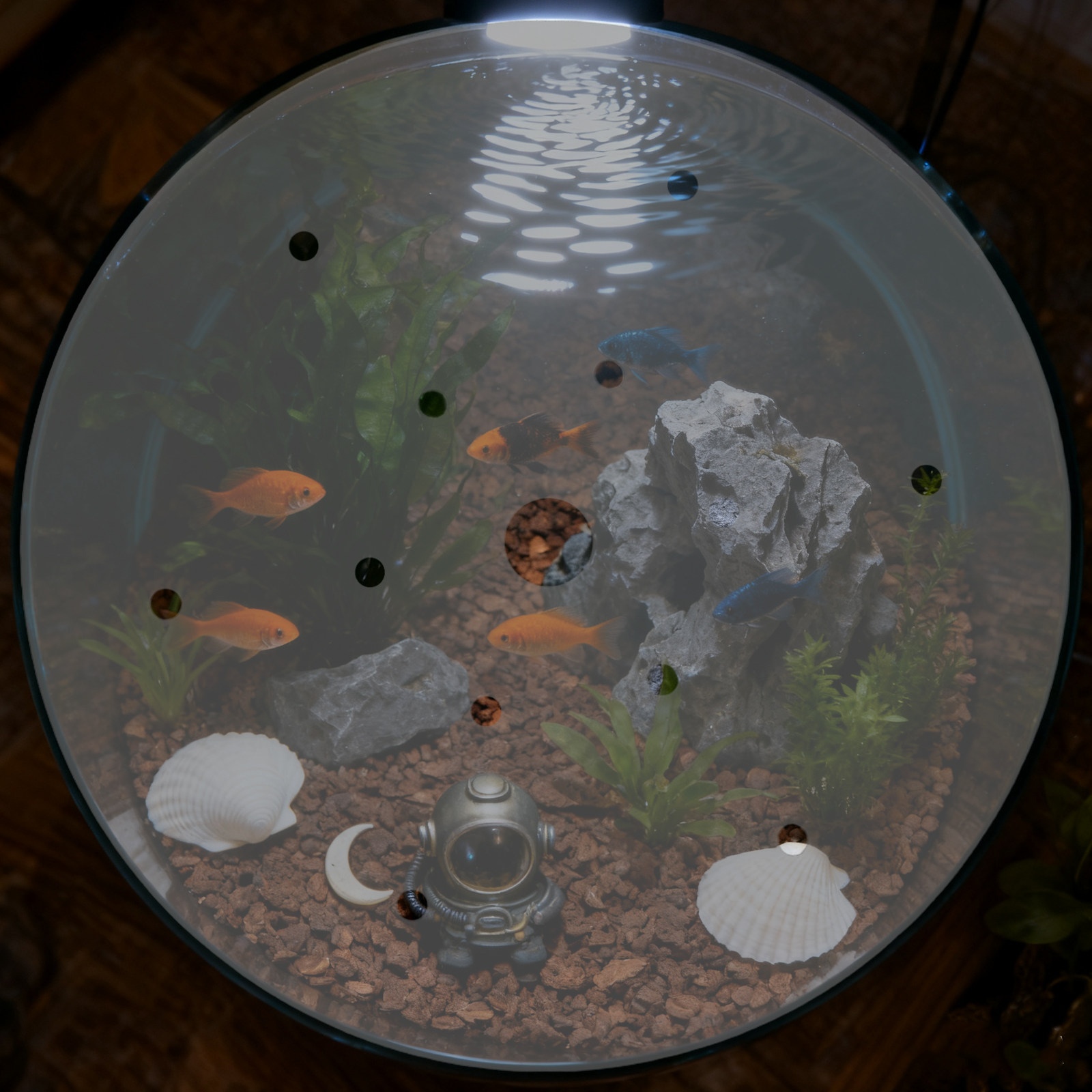 Okrągła akrylowa pokrywa do ak – Aquarium Fish Escape recenzja i cena